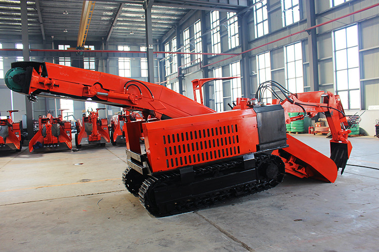 80履皮.jpg 80履皮.jpg